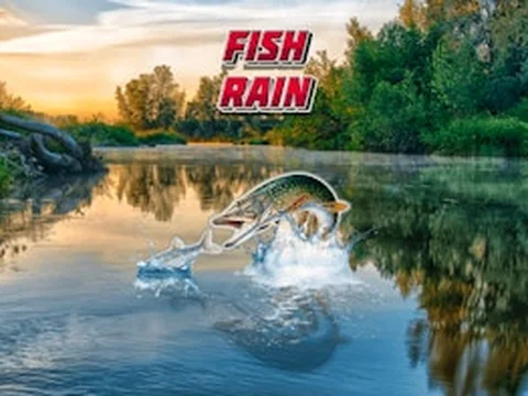 Fish Rain