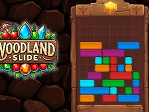 Woodland Slide