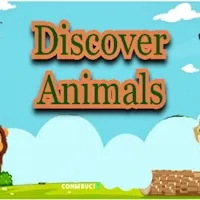 Discover Animals
