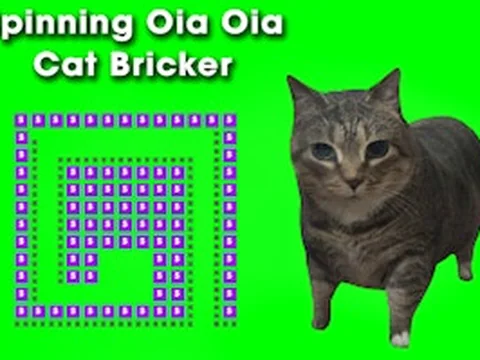 Spinning Oia Oia Cat Bricker