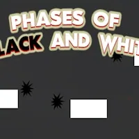 Phases of Black and White