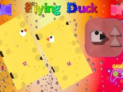 Flying Duck