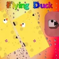 Flying Duck