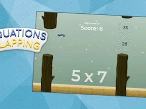 Equations Flapping
