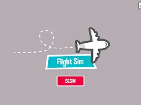 Flight Sim Pro