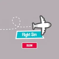 Flight Sim Pro