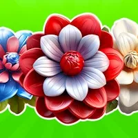 Dice Puzzles Flowers!