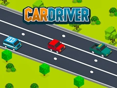 Car Driver