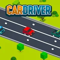 Car Driver