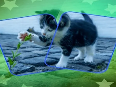 Cat Puzzle Memory Match