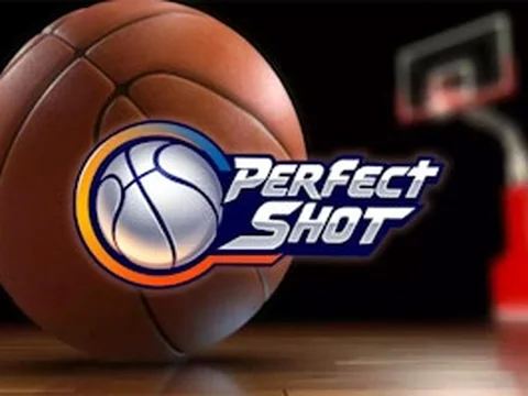 Perfect Shot