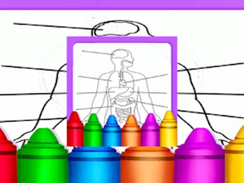 Hard Body Coloring For Kids