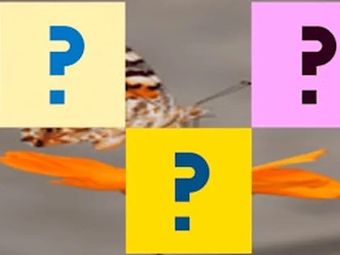 Butterfly Memory Match