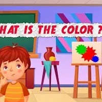 What is the Color?