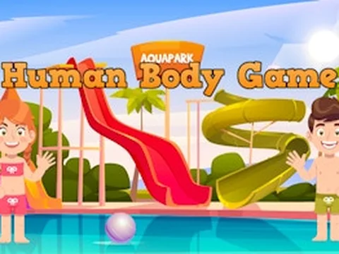 Human Body Game