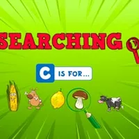 Searching