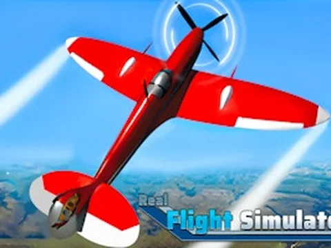 Real Flight Simulator