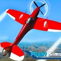 Real Flight Simulator