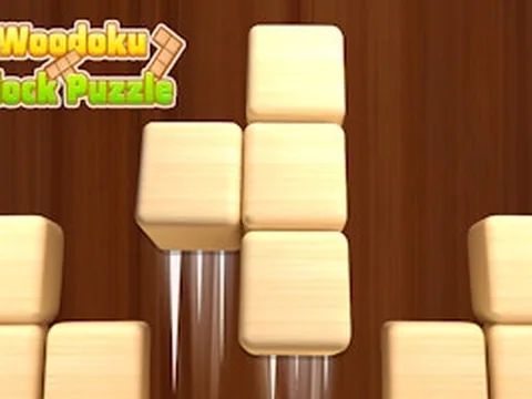 Woodoku Block Puzzle