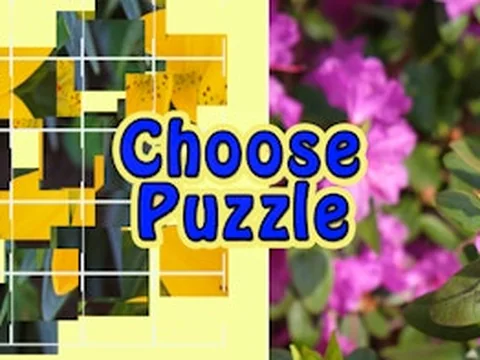 Choose Puzzle