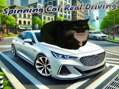 Spinning Cat Real Driving