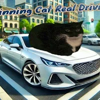Spinning Cat Real Driving