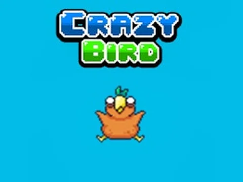 Crazy Bird