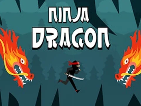 Ninja Dragon