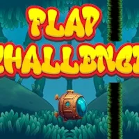 Flap Challenge